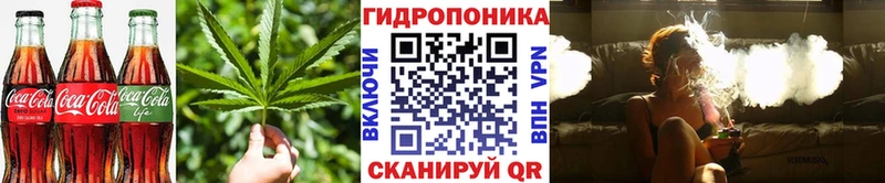 Cannafood конопля  где купить наркоту  Няндома 