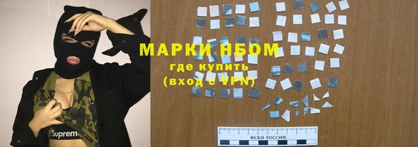 шишки Горняк