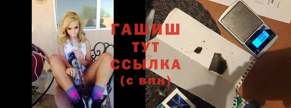 шишки Горняк