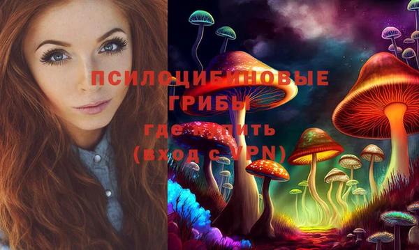 шишки Горняк