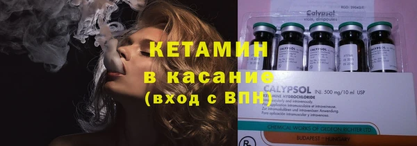 шишки Горняк