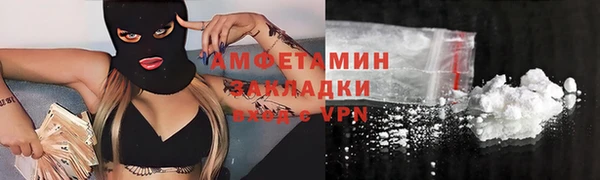 шишки Горняк
