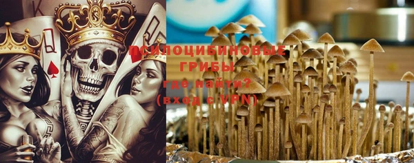 прущие крисы Горнозаводск