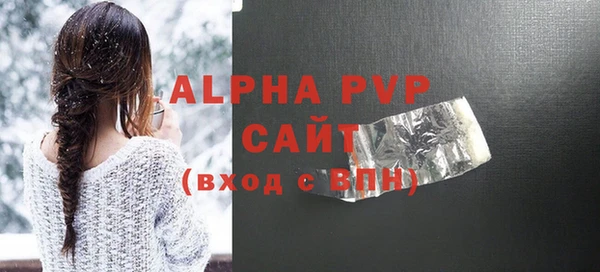 шишки Горняк