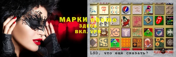 каннабис Гусиноозёрск