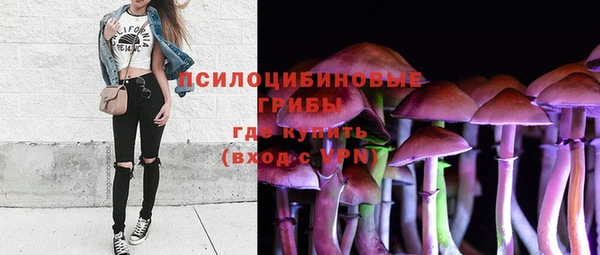 прущие крисы Горнозаводск