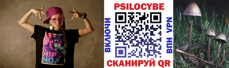 как найти   Няндома  Галлюциногенные грибы мицелий 